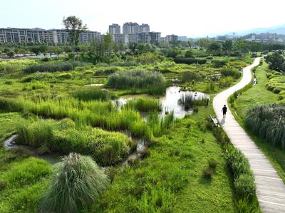 水满桂湖润泽系物-梁平双桂湖国家湿地公园环湖小微湿地工程