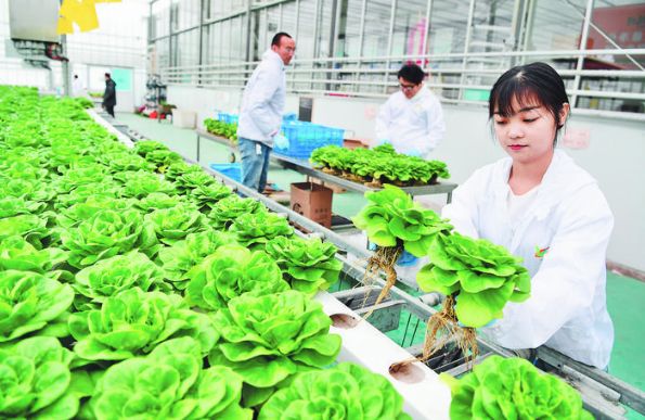 早安,合肥丨合肥这条路自动抓拍系统升级! 7天8000起!